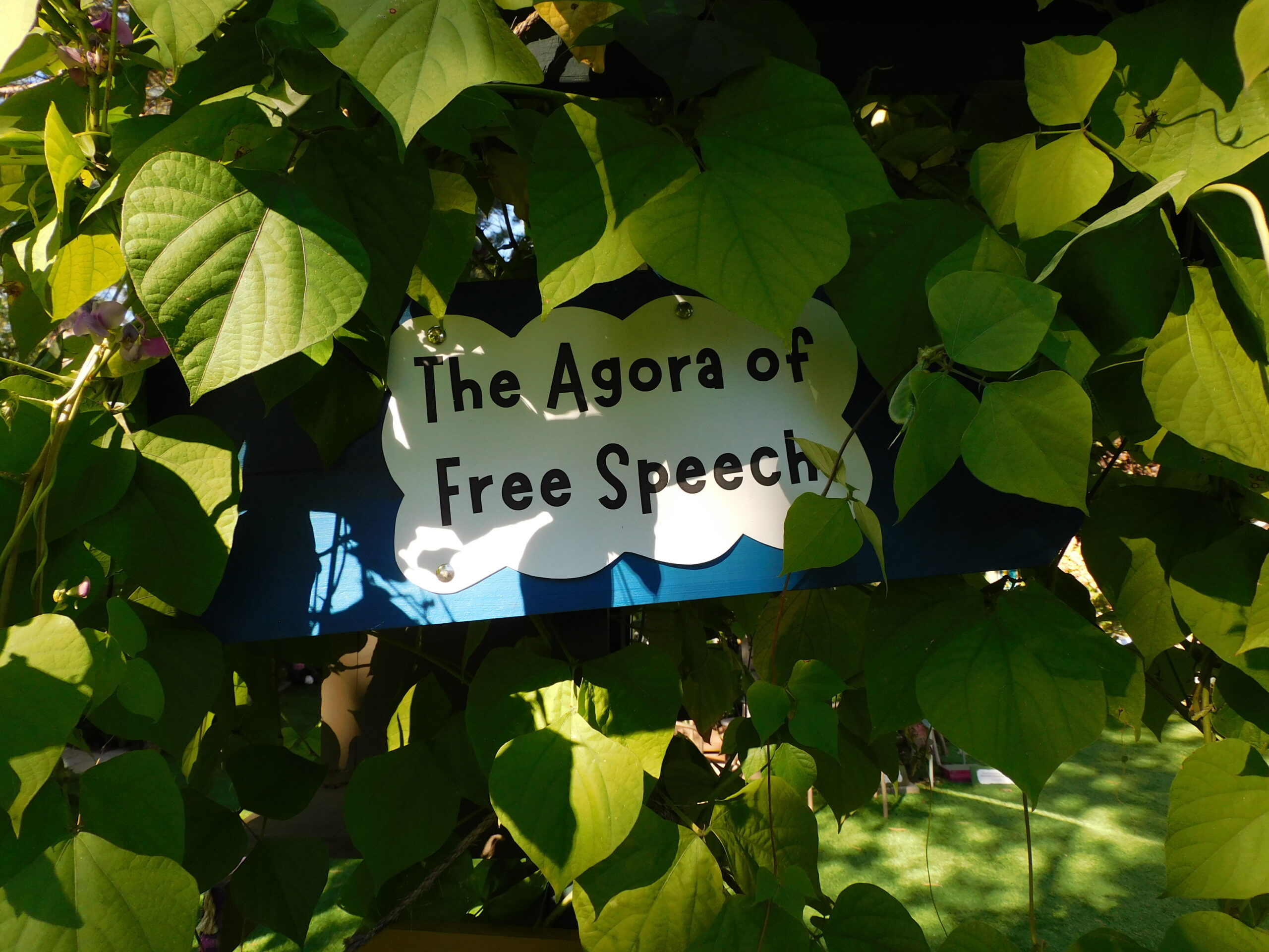 The agora of free speech-Garden of Awakening