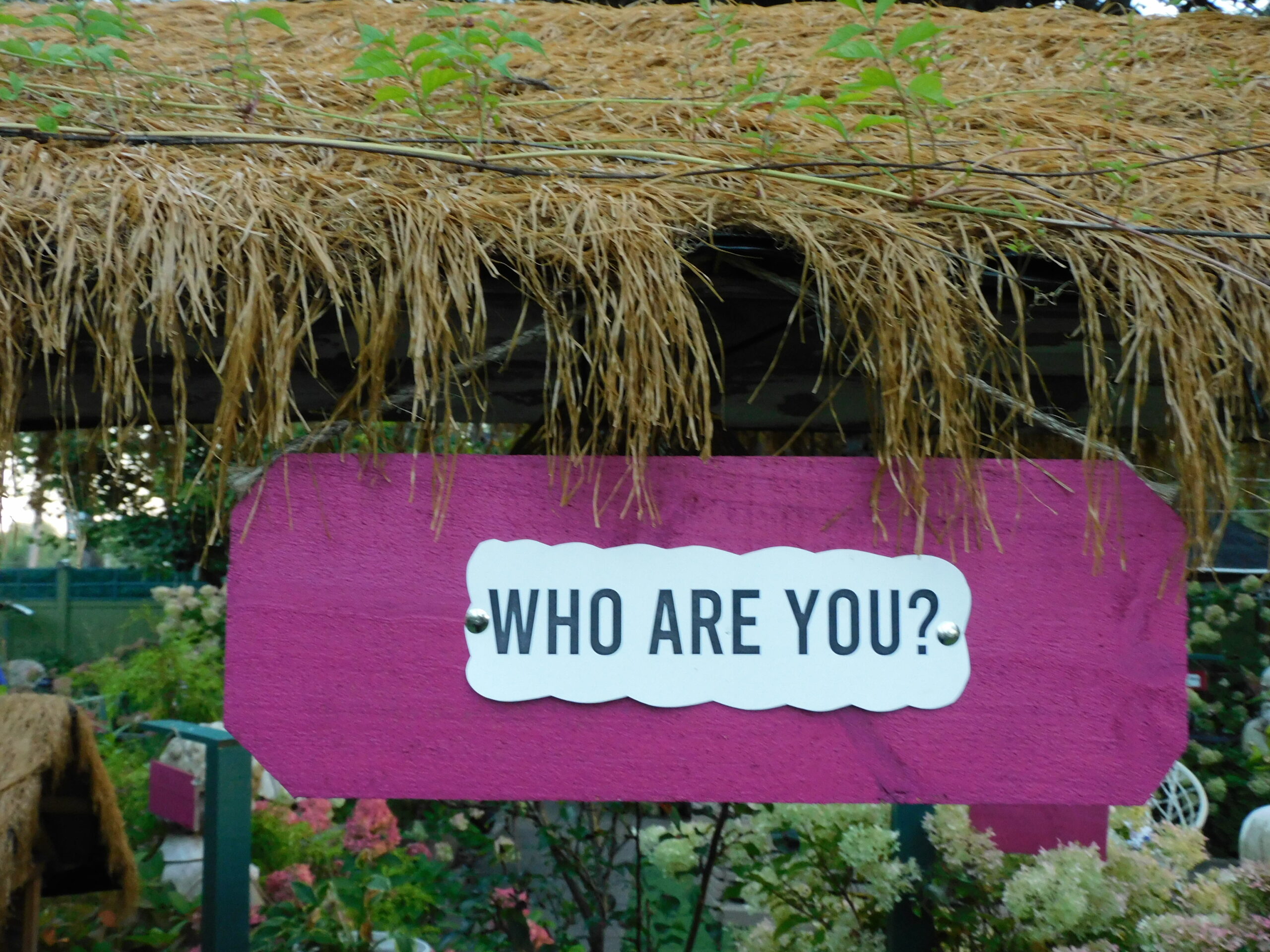 The agora of free speech-Garden of Awakening
