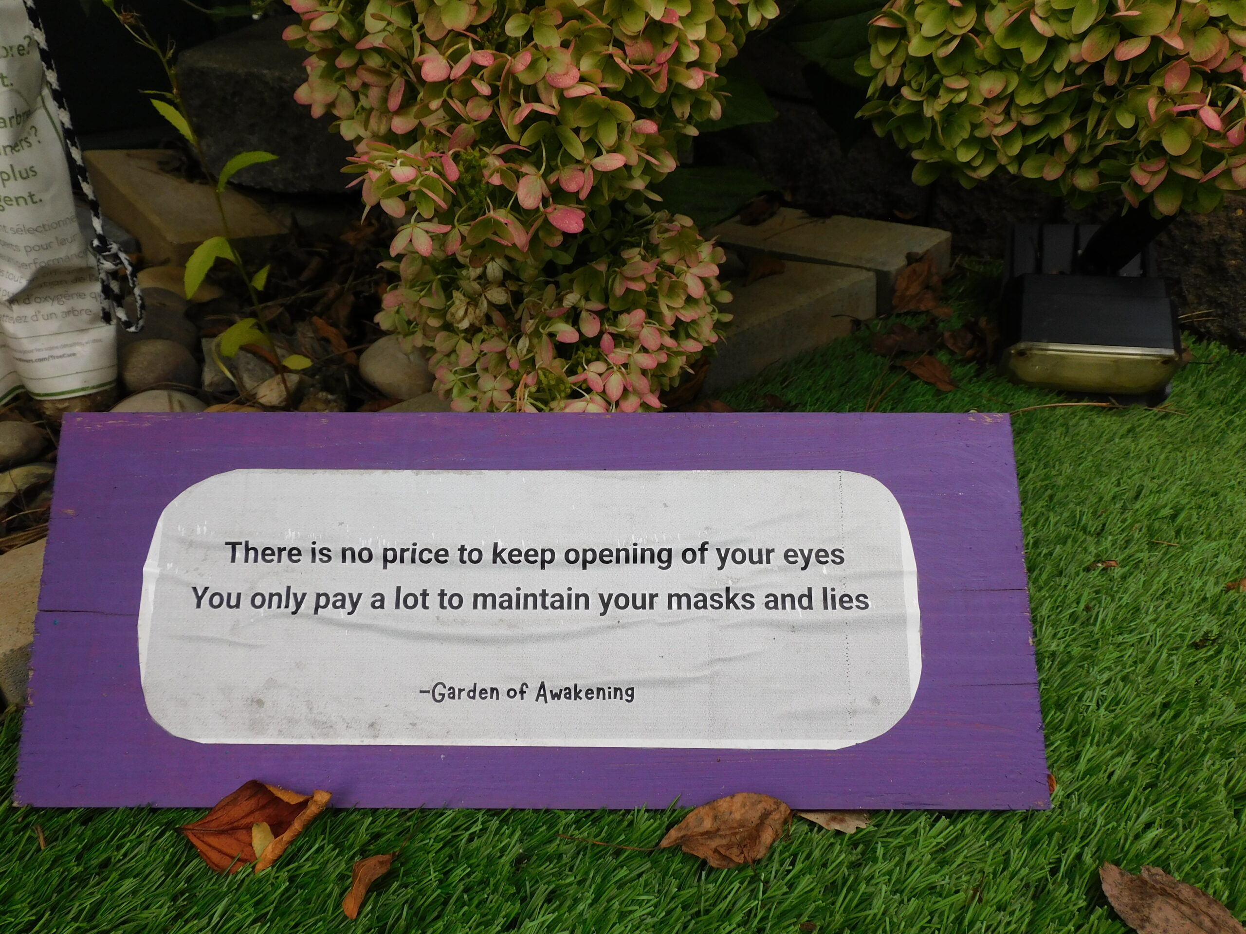 Democracy in Progress-Garden of Awakening