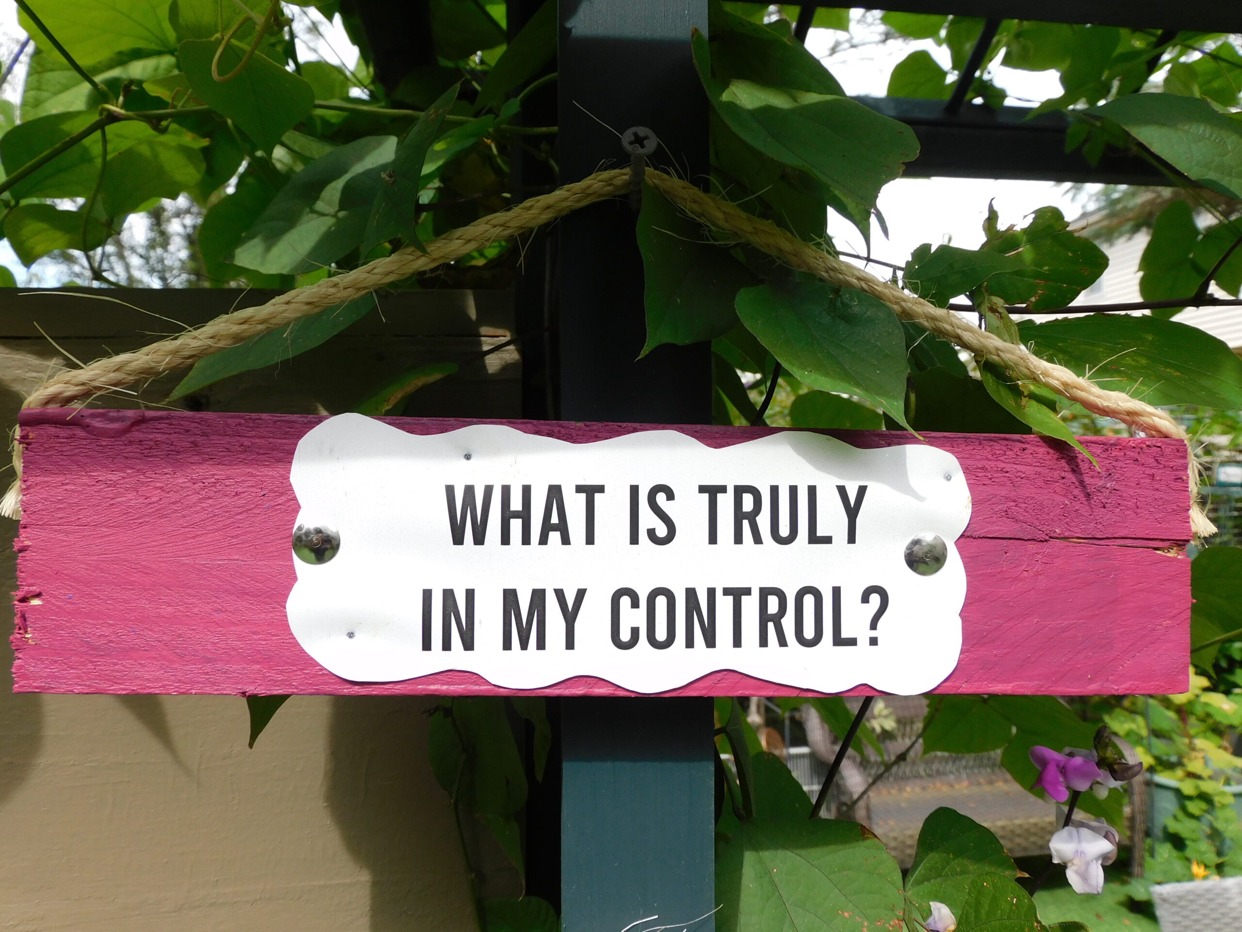 The Lyceum of Liberty-Garden of Awakening